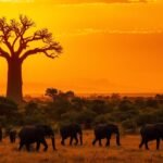 best places to visit in africa